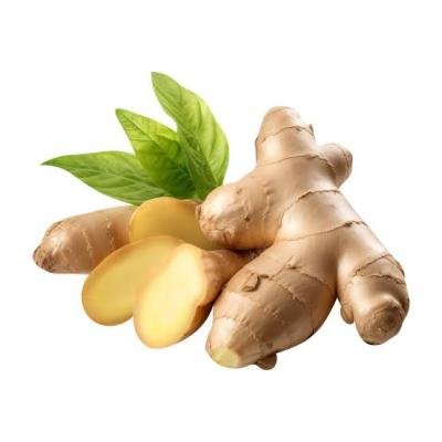 Ginger-இஞ்சி